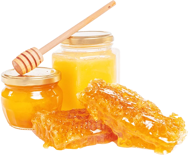 Madu dengan sarang dan bunga